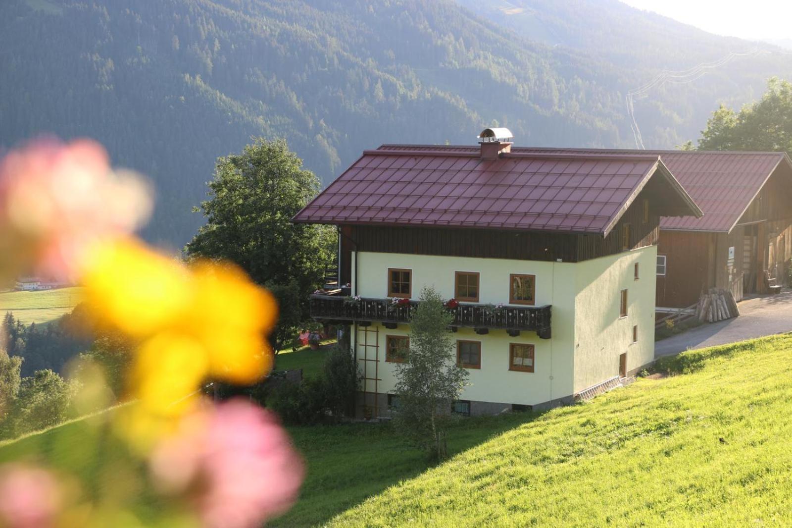 Ferienwohnung Molteraugut Mühlbach am Hochkönig Exterior foto