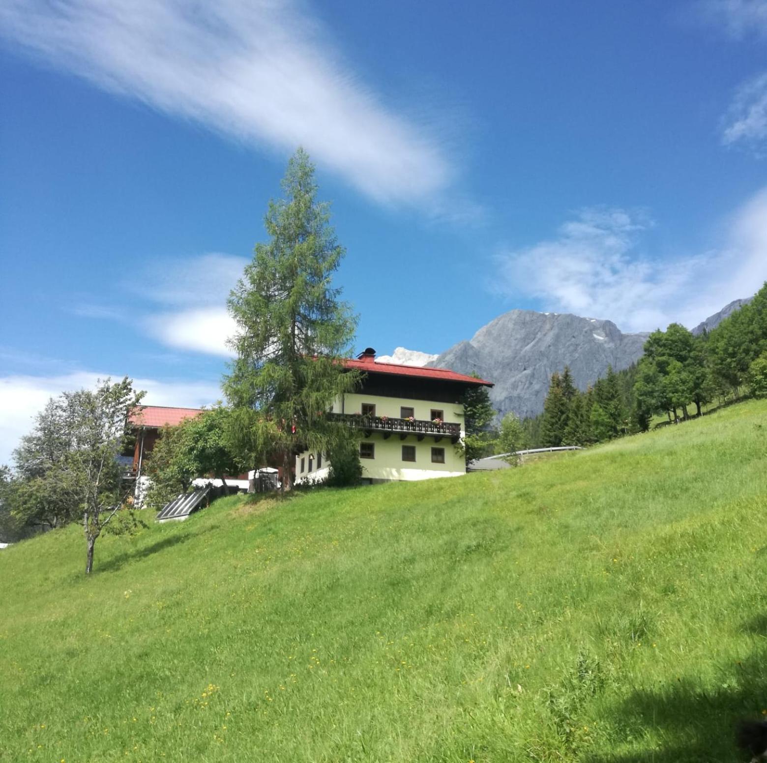 Ferienwohnung Molteraugut Mühlbach am Hochkönig Exterior foto
